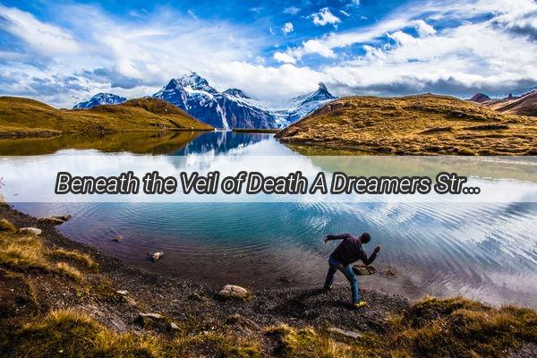 Beneath the Veil of Death A Dreamers Struggle with Life Rebirth and Eternity